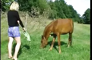 Linnatüdruk perses vana põllumehe poolt.