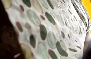 Seeliku alt voyeur spioon