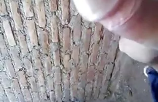 Avalik seks