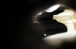 Tasuta porn videos, kvaliteetne, naissoost porn