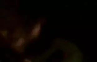 Tasuta porn videos, kvaliteetne, naissoost porn