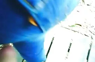 Amatöör brasiilia cumshots prantsuse punapea seksfilm inglise