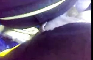 Seksikas koerafilm