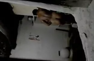 Sri Lanka Tirkistelijä