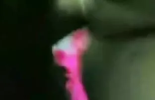 Kuradi koduabi