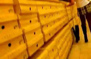 Tantsupüksid
