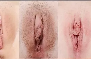 Erisaade